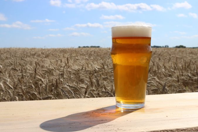 SomersetWheatinSomersetWheat