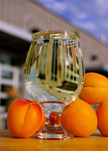 Saco Seltzer - Armenian Apricot - Vert