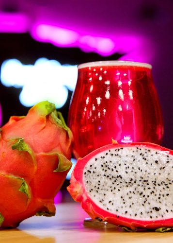 Saco Seltzer - Dragon Fruit - Vert
